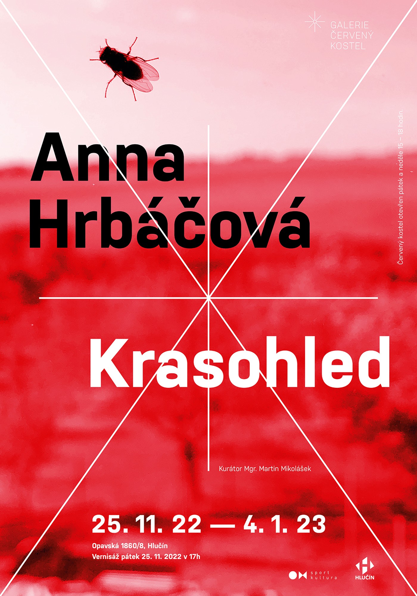 ANNA HRBÁČOVÁ - KRASOHLED VERNISÁŽ VÝSTAVY ANNA HRBÁČOVÁ - KRASOHLED VERNISÁŽ VÝSTAVY